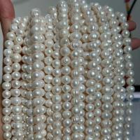 Cuentas de Perla Blanca Frescas Naturales A+ Cuentas Redondas Irregulares para Accesorios de Joyería DIY Certificado CE - details 4