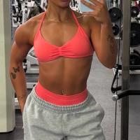 Sujetador de tiras sin logotipo para mujer, Sujetador deportivo con espalda descubierta y cuello Halter, Top corto de gimnasia sin costuras, soporte ligero para entrenamiento, Top de Yoga - details 5