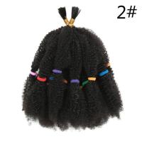 Fibra resistente al calor mujeres africanas pelo sintético Afro rizado pelo trenzado de ganchillo trenzas rizadas a granel peluca rastas ombré - details 1