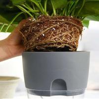 Plástico usado autoirrigación de plantas hidropónicas, ETEros en jugoso ETA, decoración de escritorio transparente para hogares y oficinas - details 9