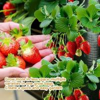 Bolsas para cultivo de fresas, suministros de plantación de jardín de alta resistencia con mango para patios traseros, terrac y - details 0