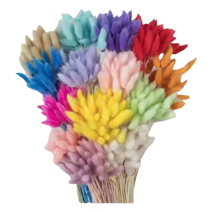 Ramo de Flores Secas de Cola de Conejo 50pcs Ideal para Decoración de Boda, Fiesta, Navidad - 1