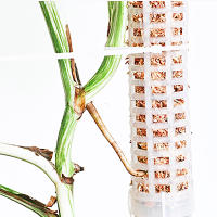 Columna de escalada de plantas, poste de musgo Sphagnum, soporte de cultivo de plantas, soporte de retención de agua, palo de extensión de plantas rico en fertilizante - details 4