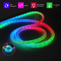 Tira de neón LED WS2812B para habitación, cuerda de silicona con patrón reticulado, impermeable, Flexible, colorida, 5V, Control Bluetooth - details 9
