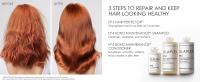 3 STEPS TO REPAIR AND KEEP HAIR LOOKING HEALTHY