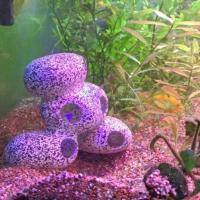 Decoraciones de Acuario de Piedra de Resina Refugio de Escondite de Cueva para Peces 5 Opciones - details 6