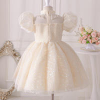 Vestido de princesa para niña, lujoso vestido de fiesta de cumpleaños para bebé, actuación de Piano de alta gama, flor, boda - details 4