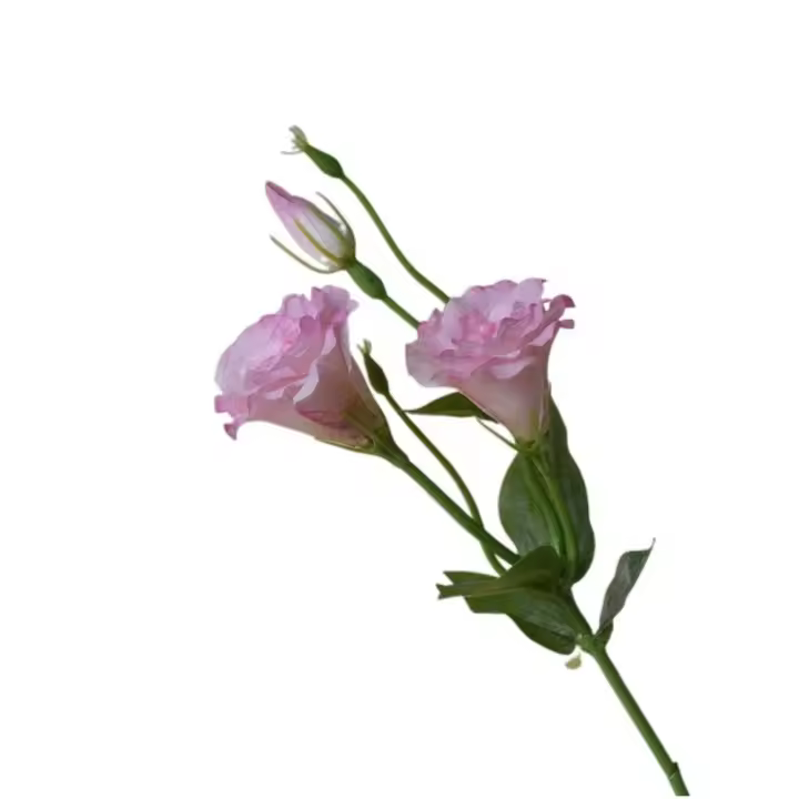 Flores artificiales de Lisianthus de tacto Real, flores de seda, ramo de novia, flores falsas de Eustoma, suministros para fiestas elegantes - 1
