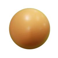 Bola de Yoga de 25cm Equipo de Gimnasia para Fitness Pilates Equilibrio - details 18