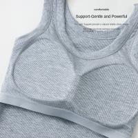 Camisola grande con cojín en el pecho para mujer, corsé elástico de Color sólido de talla grande para niña, ropa de calle, chaleco con tirantes para uso diario - details 10