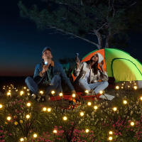 LÁMPARA SOLAR LED oscilante, BOLAS DE JARDÍN - details 2