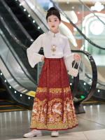 Hanfu para niñas, estilo chino, disfraz Tang para niños con cara de caballo estilo Ming, falda de hada, primavera y otoño, antiguo para niñas - details 8