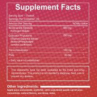NAD + bebida de pulpa de frutas, bebida de té preparada instantáneamente, bebida sólida - details 1