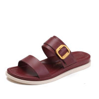 Sandalias de Verano 2025 para Mujeres Suela Suave, Antideslizante, Moda de Playa - details 3