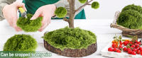 musgo sphagnum planta ártificial musgo para plantas musgo para orquidea hierba artificial miniatura
