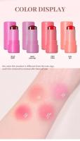 Marca fabrica contorno multicolor hidratante labio mejilla doble propósito blanco marca Logo Jelly Blush Stick - details 4