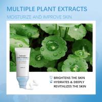 Extracto de Protector solar Centella asiática, Protector solar hidratante nutritivo, no graso para el cutis - details 3
