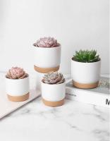Plástico blanco uso interior, mini macetero floral con agujeros de drenaje jugoso o cactus, para plantas, ETA - details 11