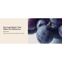 Key ingredient resveratrol fights environmental damage & boosts SPFs efficacy.