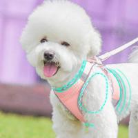 Juego de arnés correa Pincher caminar al aire libre, perros pequeños y medianos, chaleco para mascotas, arneses, accesorios - details 6