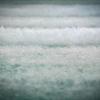 cotton