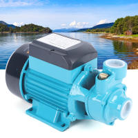 Bomba de agua Industrial de 220V, 370W, 2850rpm, refuerzo Circular de riego de jardín, color azul, robusta y duradera, 21,5x12x15,5 Cm - details 0