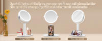light up travel mirror