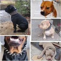 Collar de cuero PU para perros, collares acolchados duraderos para entrenamiento de mascotas, collares para perros medianos a grandes, Bulldog Francés - details 2