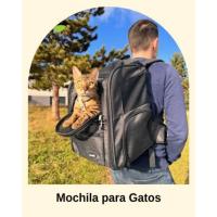 mochila gato