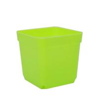 Maceta de flores de piezas, caja de vivero de 5,5 cm, Mini maceta cuadrada, cuenca de plantas de plástico colorido, macetas de trasplante suculentas, herramientas de jardín - details 4