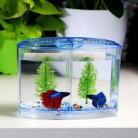 Caja de aislamiento transparente de plástico Betta para pecera con hierba de agua, rejilla única/doble, cría de peces - details 3