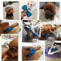 Juguete resistente a mordiscos para mascotas Cepillo de dientes para perros - details 7