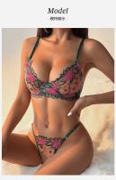 Conjunto de sujetador de mujer de encaje sexy para mujer, anillos de acero suave que se reúnen para recoger pechos secundarios, ropa interior, deseo puro de mujer - details 8