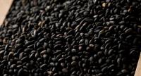 Black sesame, natural ingredient for korean skincare