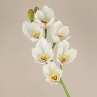Orquídea Papilio Artificial de 6 cabezas, colores vivos, rama de flor de Cymbidium realista, tallos flexibles de tacto Real, flores falsas - details 6