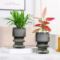 Flor hidropónica perezosa, absorción automática de agua, autorriego, planta de plástico ETA, decoración del jardín del hogar - details 5