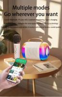 Micrófono inalámbrico Y5, máquina de Karaoke con Altavoz Bluetooth, luces RGB de fantasía, efectos, Subwoofer HIFI, KTV, sistema de sonido DSP, Y3, Y2, Y1 - details 7