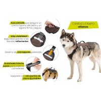 Arnes para perros