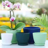Flor de plástico planta jugosa circular ETA, raya vertical ETA con bandeja, decoración de escritorio para el hogar y la oficina - details 1