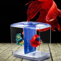 Caja de aislamiento transparente de plástico Betta para pecera con hierba de agua, rejilla única/doble, cría de peces - details 0