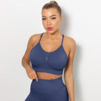 Hamidou-sujetadores deportivos para mujer, ropa interior para gimnasio, correr, a prueba de golpes, transpirable, sin mangas, para Yoga - details 23