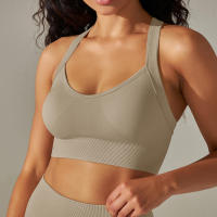 Hamidou-Top Sexy para mujer, sujetadores deportivos para Yoga, Fitness, belleza, espalda elástica, transpirable, ropa interior femenina, Tops - details 19