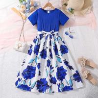 Vestido Elegante de Chiffon Real para Niñas de 8 a 12 Años Estilo Vintage de Moda Diaria - details 1