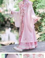 Hanfu de la dinastía Ming para niñas, traje antiguo chino súper inmortal para niños, vestido fino de estilo Tang, novedad de 2025 - details 9