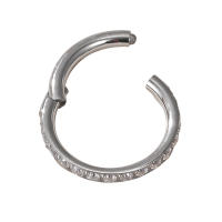 ASTM-Aro de segmento con bisagras de titanio, Circonia cúbica, para tabique nasal, pezón, golpe, Tragus, Hélix, Labret, Piercing para labio, joyería para el cuerpo, F136 - details 3