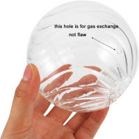 Patrón de calabaza G9, sombra de globos de cristal transparente para accesorios de iluminación, 80mm, 100mm, 120mm, cubierta de lámpara de bola redonda para techo, accesorios de pared - details 3