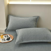 Bonenjoy-funda de almohada de terciopelo cálido, Fundas de cojín de Color sólido, 2 piezas, rectangular, 48x74cm - details 6