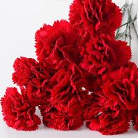 Claveles rojos artificiales de tacto Real, manualidades DIY, 54cm, flor de clavel de simulación, plantas falsas hechas a mano realistas, aniversario - details 3