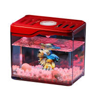 Mini pecera transparente con creación de paisaje, pecera de escritorio de plástico inastillable, tanque de tortuga cuadrado transpirable para el hogar - details 2