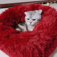 Cama de Mascotas de Peluche XXL Diseño de Donut para Perros y Gatos Ideal para Perros y Gatos Grandes Almohada Calmante para Mascotas - details 3